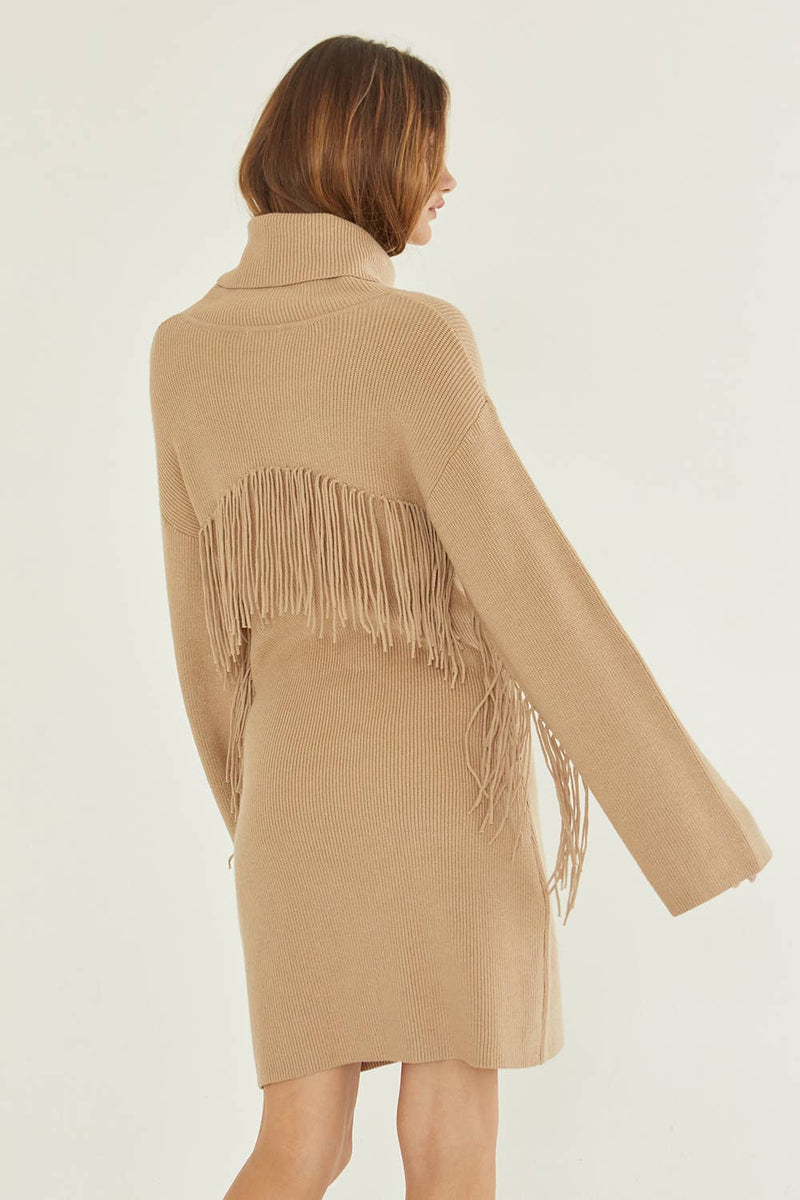 Joelle Turtleneck Sweater Fringe Dress